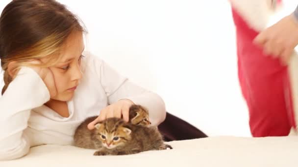 Menina e gatinhos bonitos — Vídeo de Stock