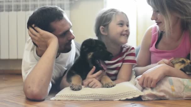 Familia joven con dos perros — Vídeos de Stock