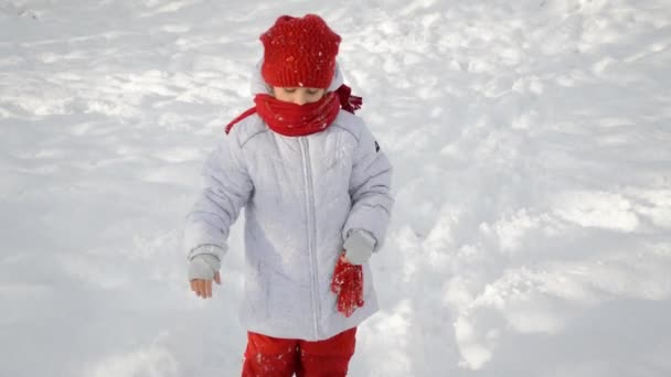 Little girl in winter day — Stock Video