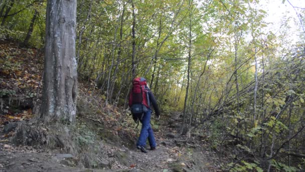 Mujer excursionista con mochila — Vídeos de Stock