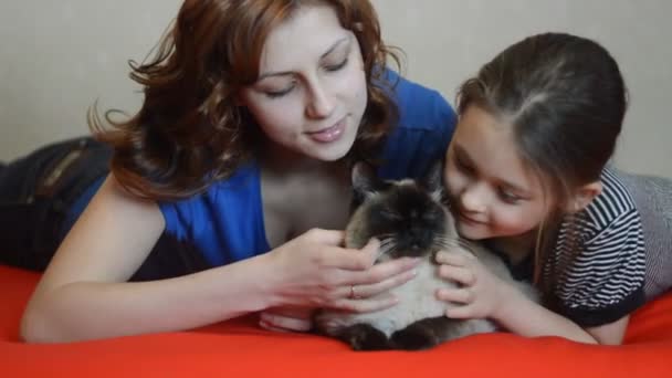 Sisters with domestic cat — Stock Video