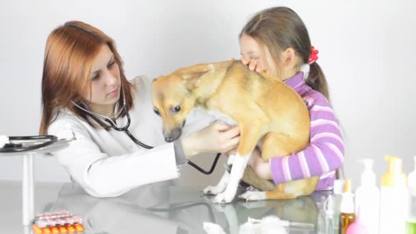 Veterinário feminino com menina e cachorro — Vídeo de Stock