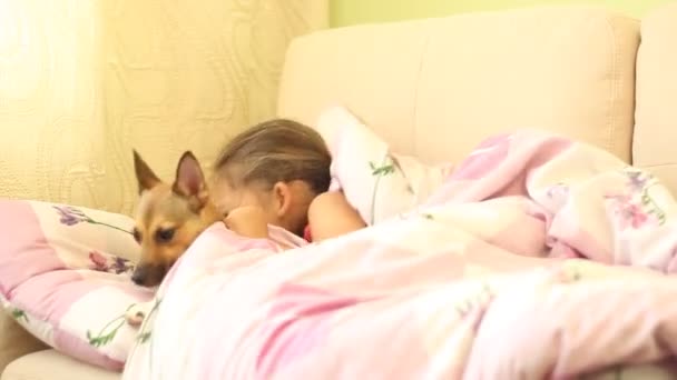 Flicka i sängen med en hund — Stockvideo