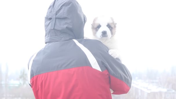 Man hålla hund utomhus — Stockvideo