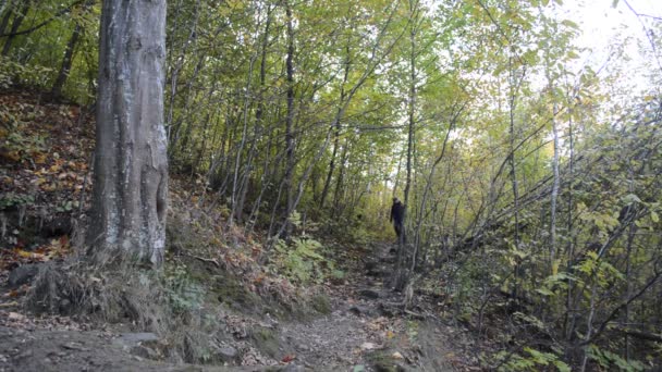 Hiker woman with backpack — Stock Video