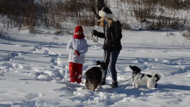 Girls playing with dogs — Stock Video