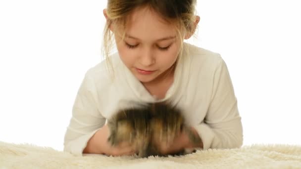 Girl lying  with two   kittens — Stock Video