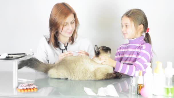 Veterinário feminino com menina e gato — Vídeo de Stock