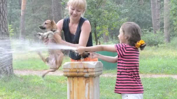 Mutter und Mädchen waschen Hundepfoten — Stockvideo