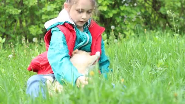 Child plays with beige puppy — Stock Video