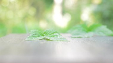 Orman meyveleri ahşap tablo