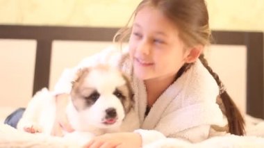 Bir köpekle oynayan çocuk