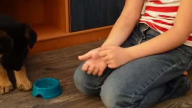 Kız bir köpek yavrusu besleme