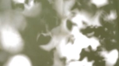 yeşil ağaç yaprakları