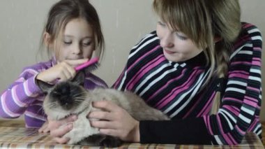 Anne ve kızı ile yavru kedi