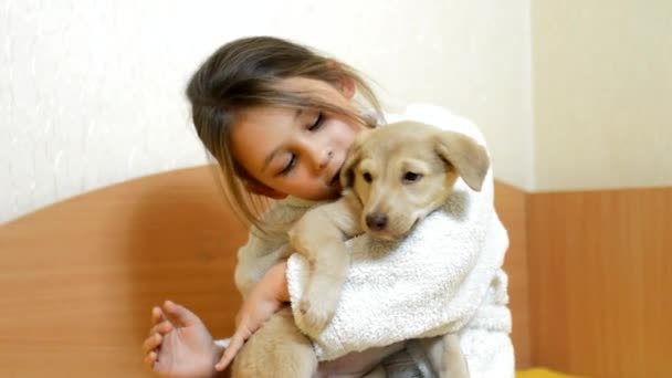 Menina com filhote de cachorro no sofá — Vídeo de Stock