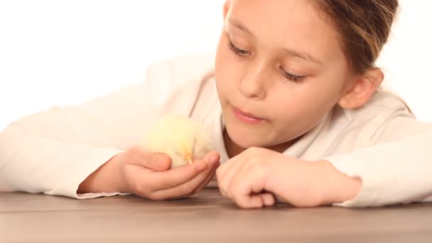 Chica jugando con pollo — Vídeo de stock