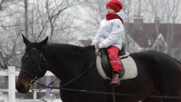 Κορίτσι σε άλογο — Αρχείο Βίντεο