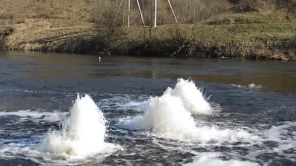 Vodní gejzíry povodí — Stock video