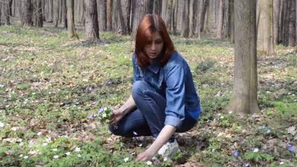 Menina coletando flores — Vídeo de Stock