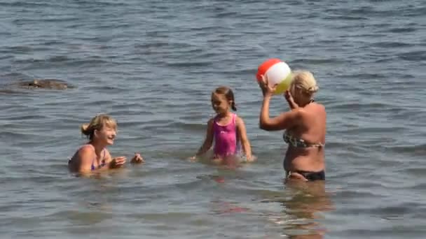 Familia divirtiéndose jugando pelota — Vídeos de Stock