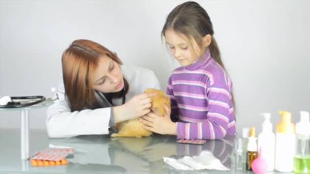 Veterinário feminino com menina e cavy — Vídeo de Stock