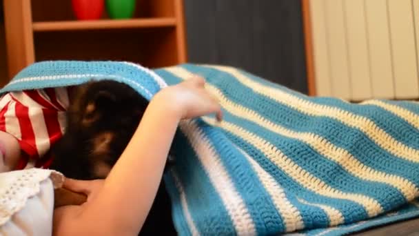 子犬を持つ少女 — ストック動画