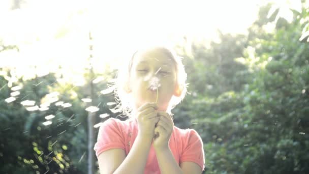 Girl blowing on a dandelion — Stock Video