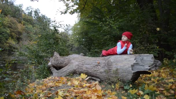 Chica en bosque de otoño — Vídeos de Stock