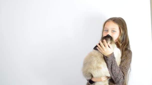 Κοριτσάκι με γάτα — Αρχείο Βίντεο