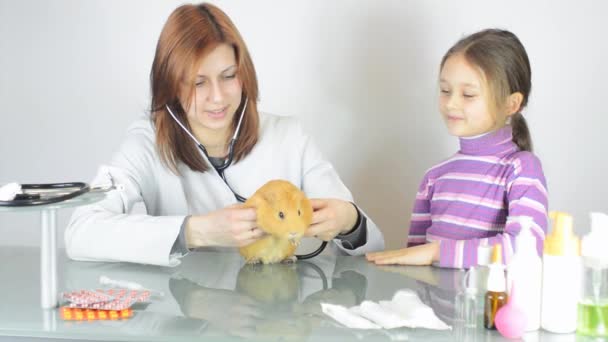 Veterinaria femenina con niña y cavy — Vídeos de Stock