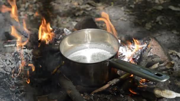 Padella con acqua bollente — Video Stock