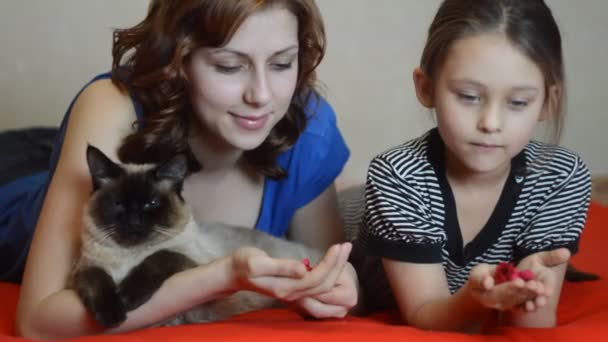 Sisters with domestic cat — Stock Video