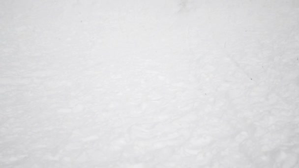 Familia feliz en nieve con trineo — Vídeos de Stock