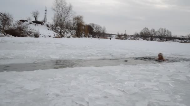 Жінка моржа в льодовиковій дірі — стокове відео