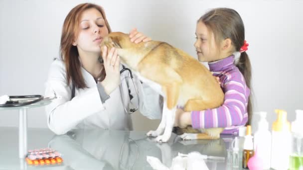 Veterinário feminino com menina e cachorro — Vídeo de Stock