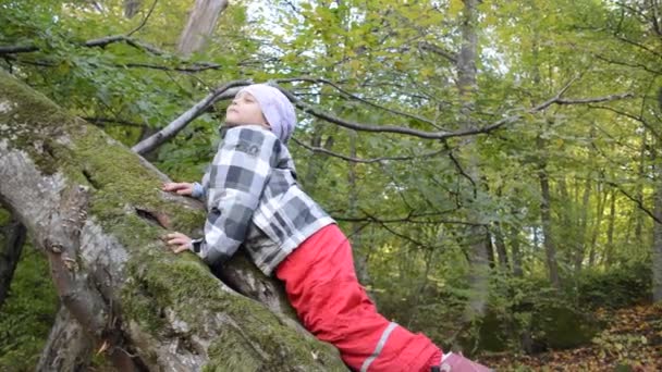 Menina na floresta de primavera — Vídeo de Stock