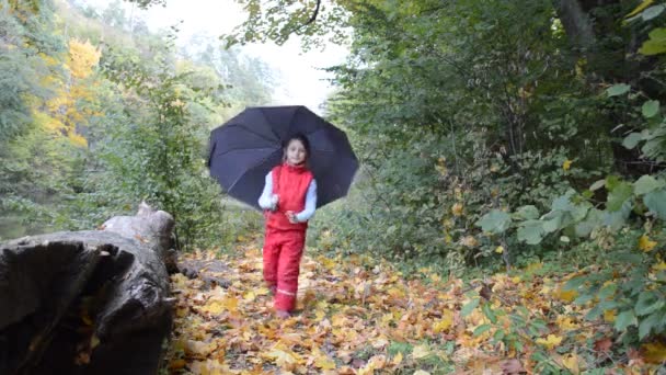 Маленькая девочка с зонтиком — стоковое видео