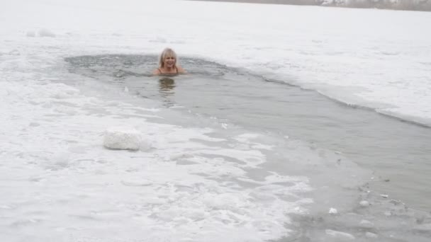 Woman walrus in ice-hole — Stock Video