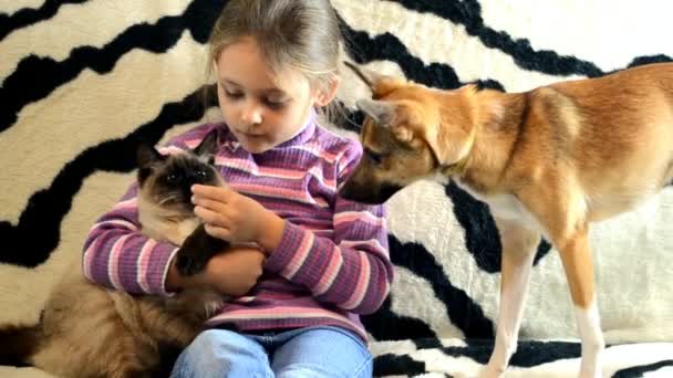 Little girl with dog and cat — Stock Video