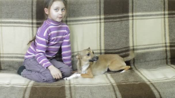 Девочка и собака на диване — стоковое видео