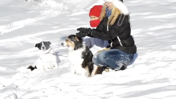 Mädchen spielen mit Hunden — Stockvideo