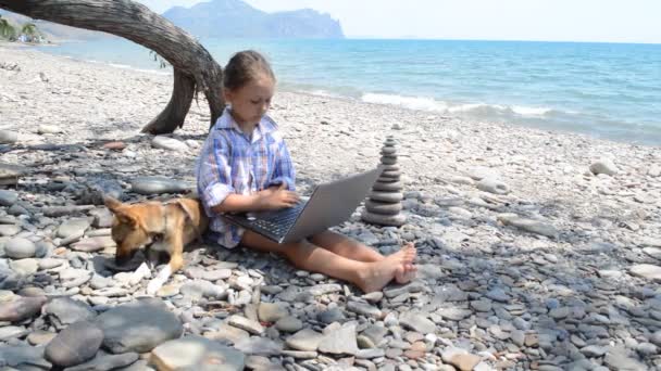 Girl with laptop on beach — Stock Video