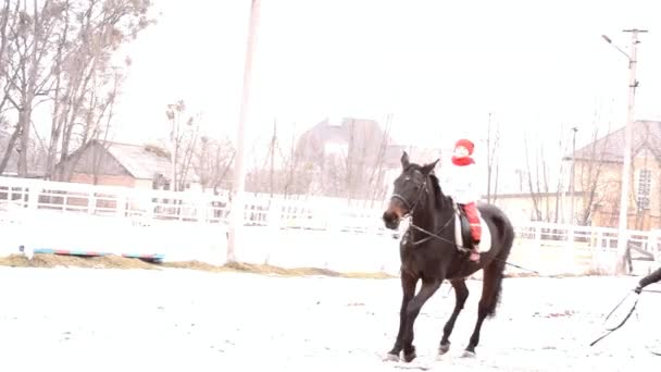 Kind paardrijden paard — Stockvideo