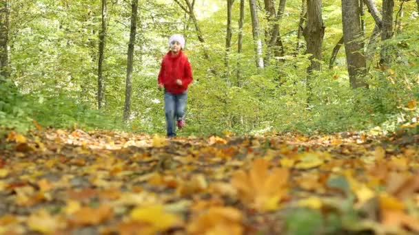 Meisje met in het forest — Stockvideo