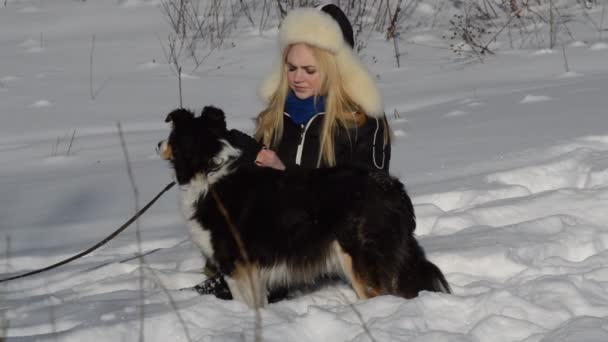 Chica bonita jugando con perros — Vídeos de Stock