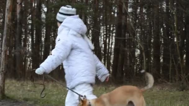 与狗玩耍的女孩 — 图库视频影像