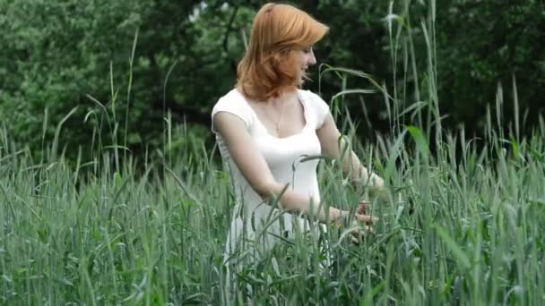 Girl stroking ears of wheat — Stock Video