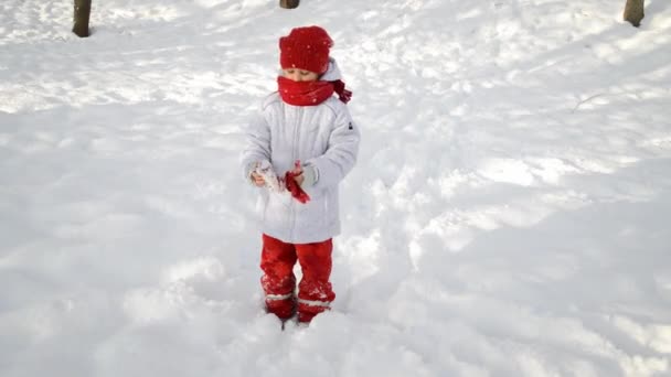 Niña en el día de invierno — Vídeo de stock