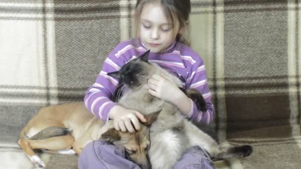 Girl and dog with cat on sofa — Stock Video